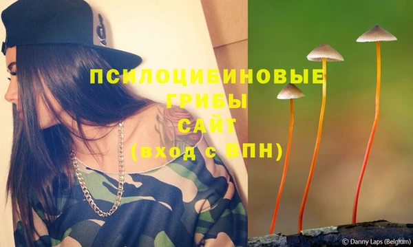скорость Сосновый Бор